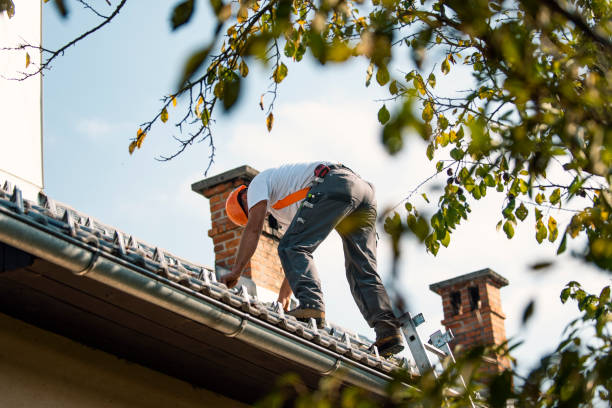 Best Roof Leak Repair  in Hidden Valley, IN